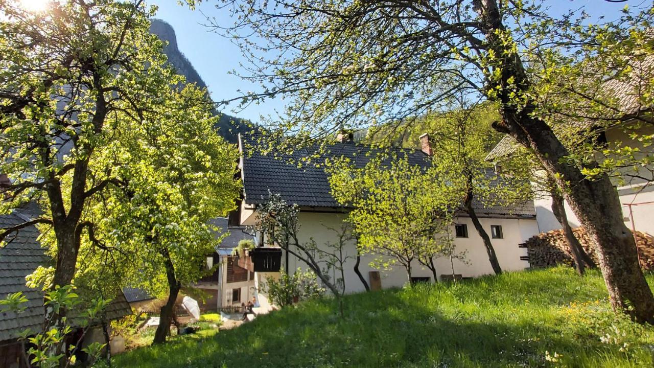 Apartmaji Pekovec Apartament *