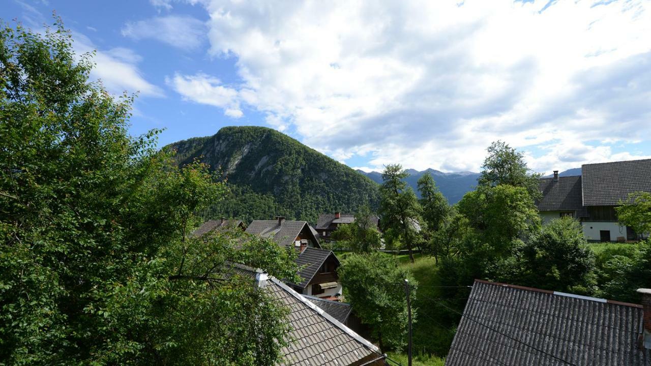 Apartament Apartmaji Pekovec